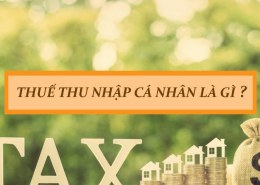 Thuế thu nhập cá nhân là gì? Vai trò của thuế thu nhập cá nhân?