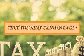 Thuế thu nhập cá nhân là gì? Vai trò của thuế thu nhập cá nhân?