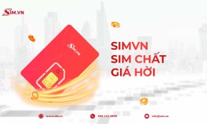 Mua SIM Tứ quý giữa 3 tại Simvn – Mua sự đẳng cấp